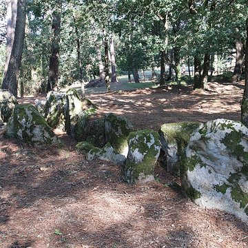 Allée couverte de Luffang Tal er Roch à Crach