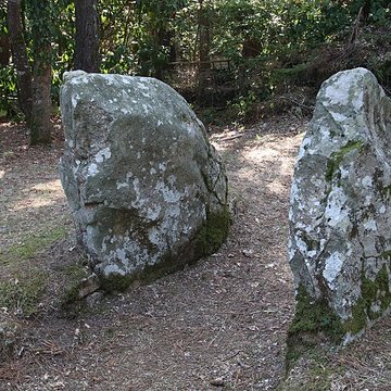 Allée couverte de Luffang Tal er Roch à Crach