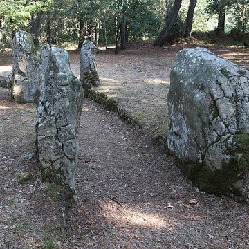 Allée couverte de Luffang Tal er Roch à Crach