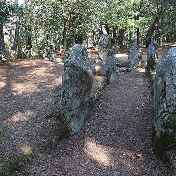 Allée couverte de Luffang Tal er Roch à Crach