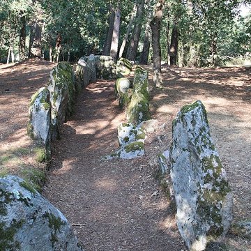 Allée couverte de Luffang Tal er Roch à Crach