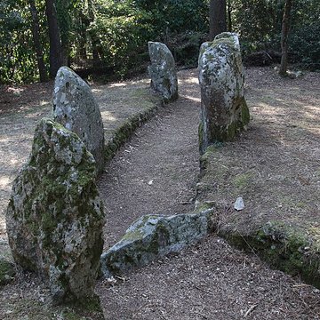 Allée couverte de Luffang Tal er Roch à Crach