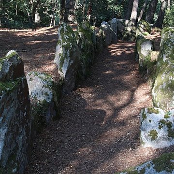 Allée couverte de Luffang Tal er Roch à Crach