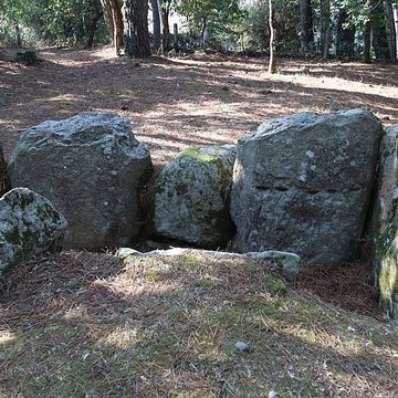 Allée couverte de Luffang Tal er Roch à Crach