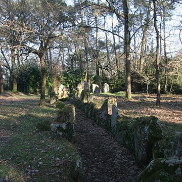 Allée couverte de Luffang Tal er Roch à Crach