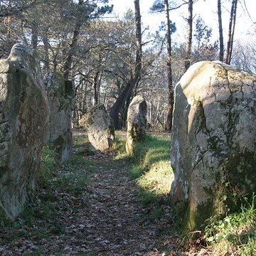 Allée couverte de Luffang Tal er Roch à Crach