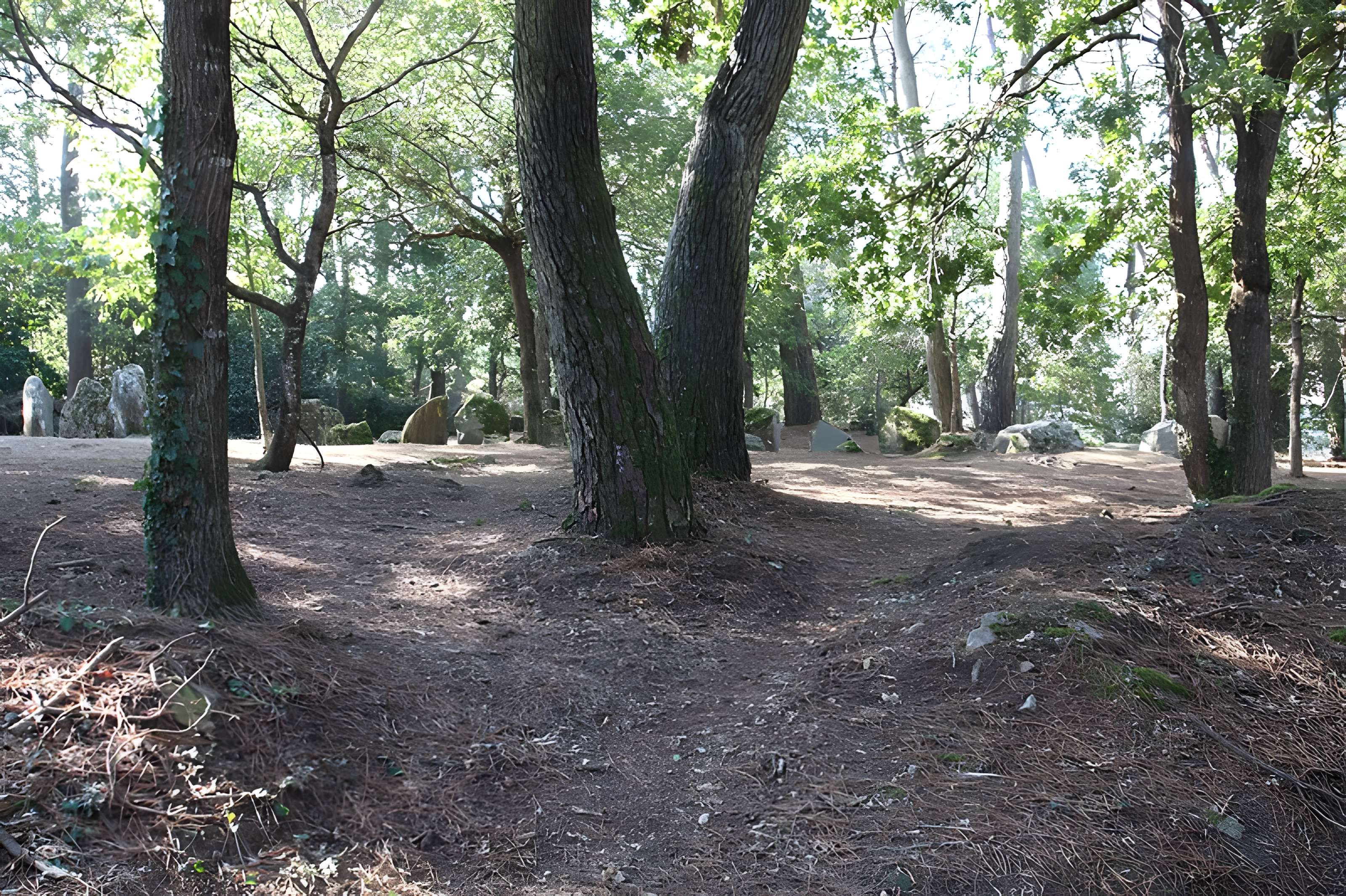 Allée couverte de Luffang Tal er Roch à Crac'h