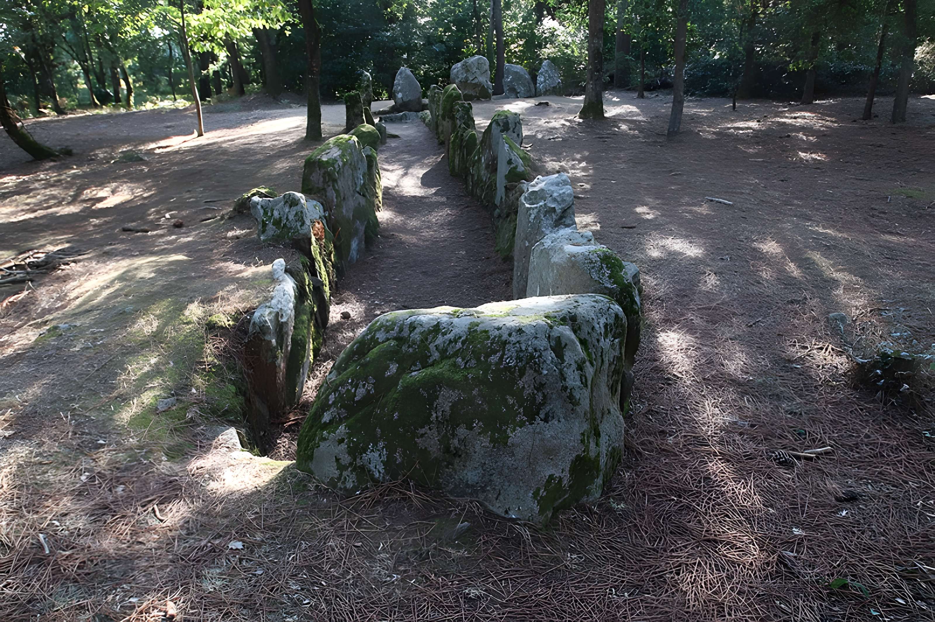 Allée couverte de Luffang Tal er Roch à Crac'h