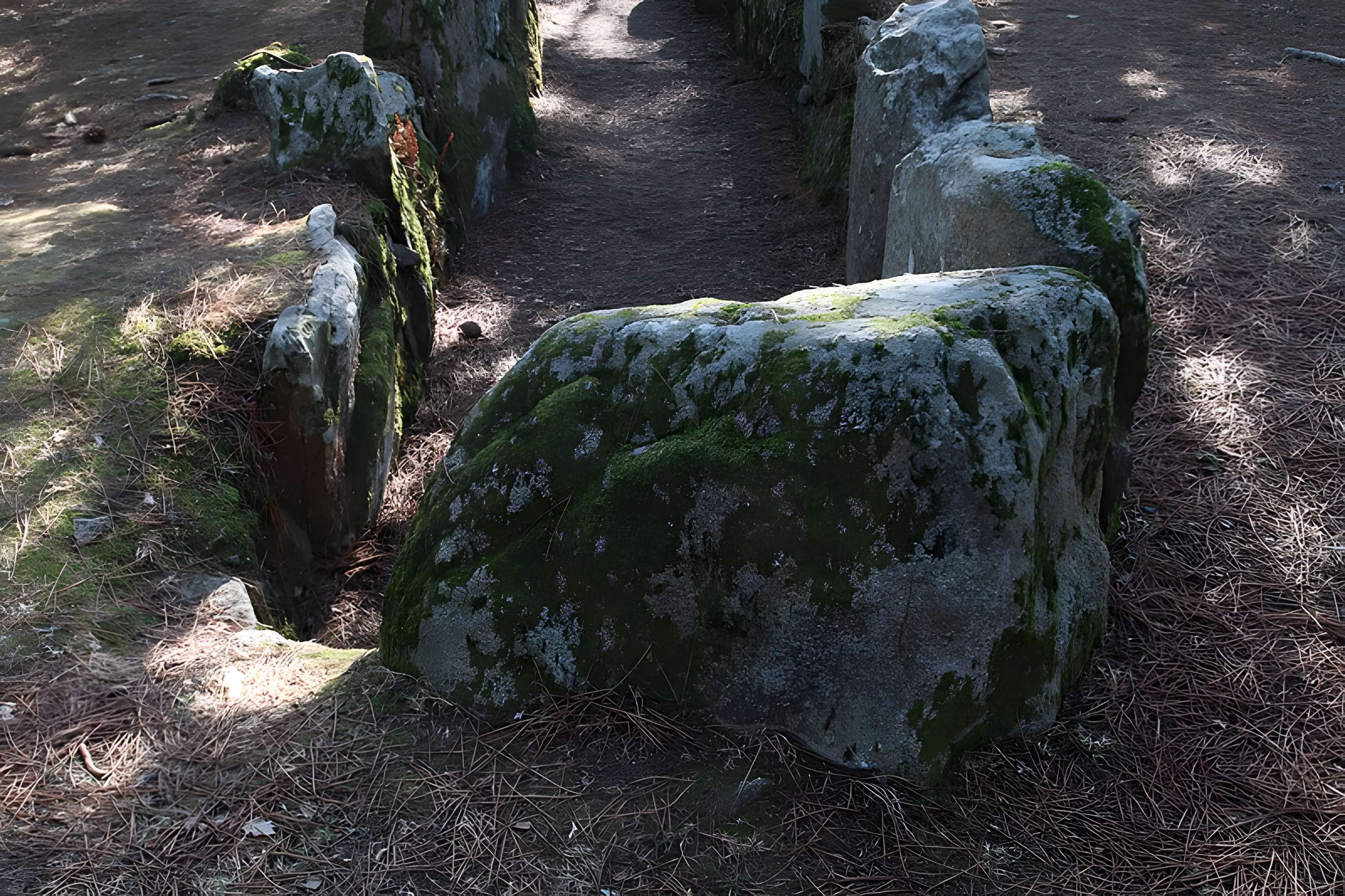 Allée couverte de Luffang Tal er Roch à Crac'h