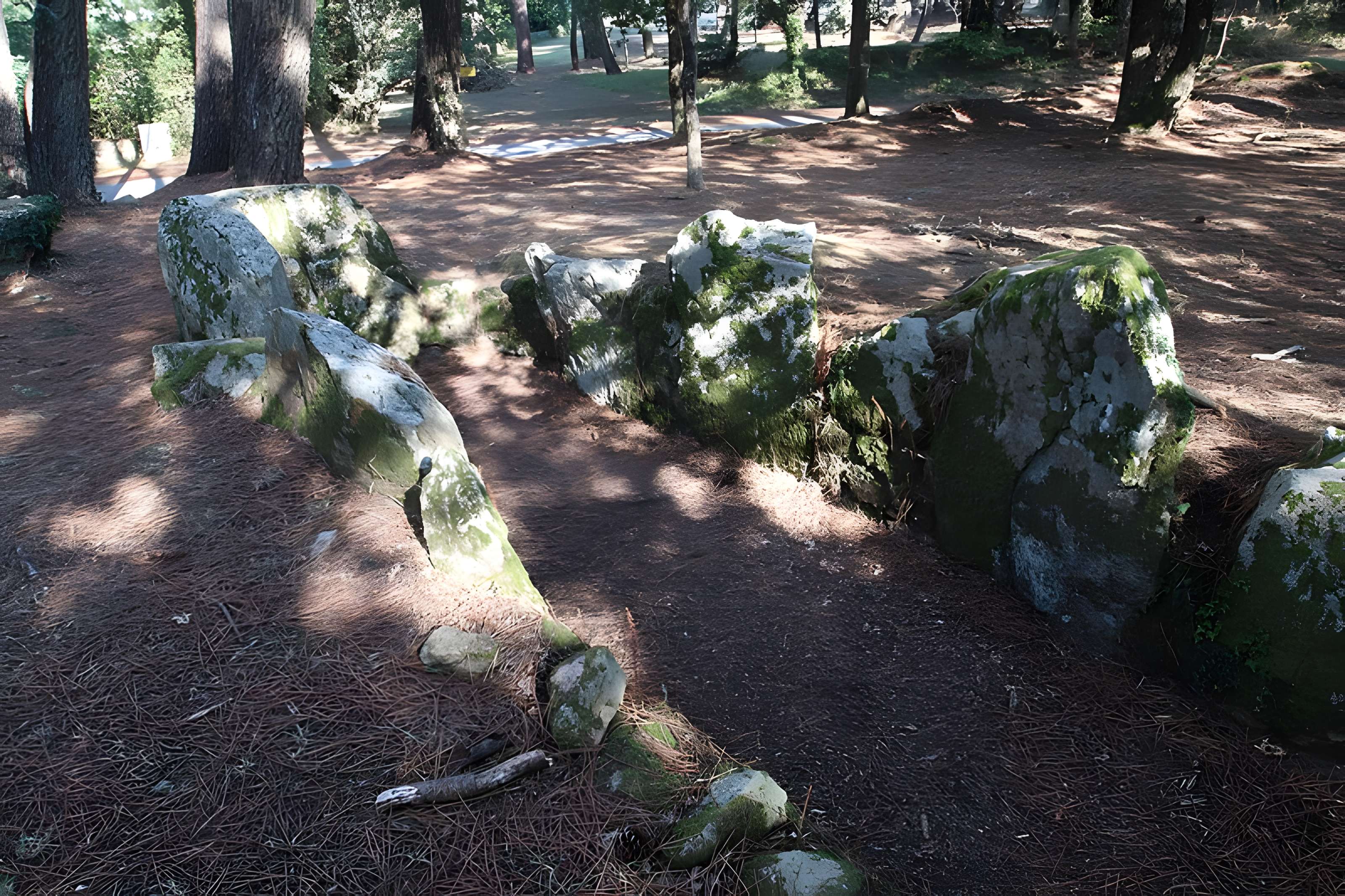 Allée couverte de Luffang Tal er Roch à Crac'h