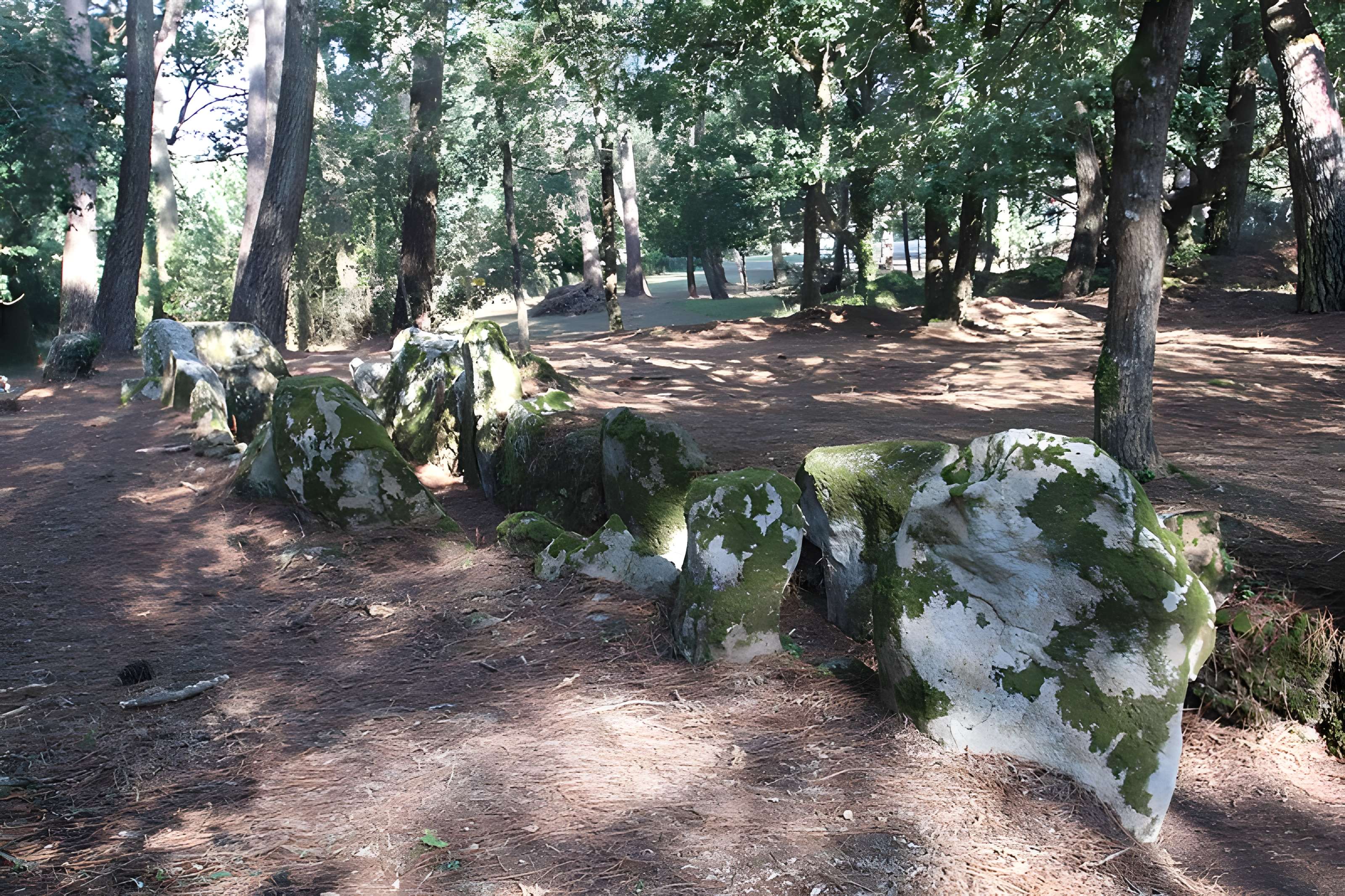 Allée couverte de Luffang Tal er Roch à Crac'h