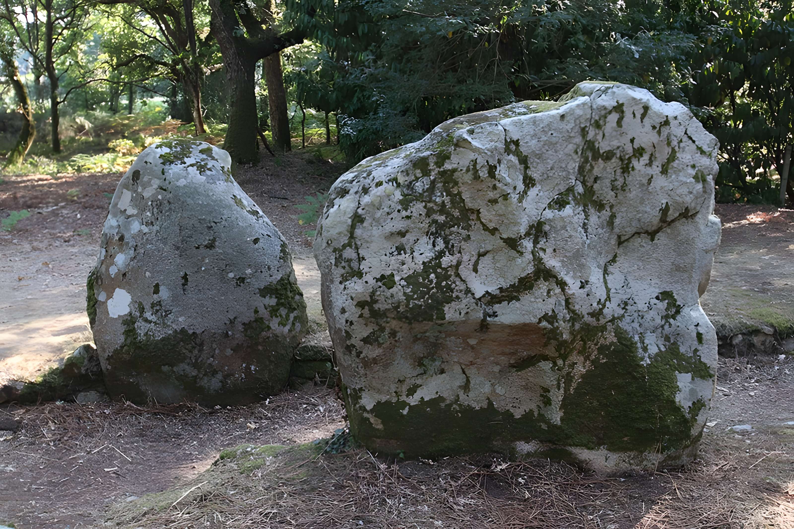 Allée couverte de Luffang Tal er Roch à Crac'h