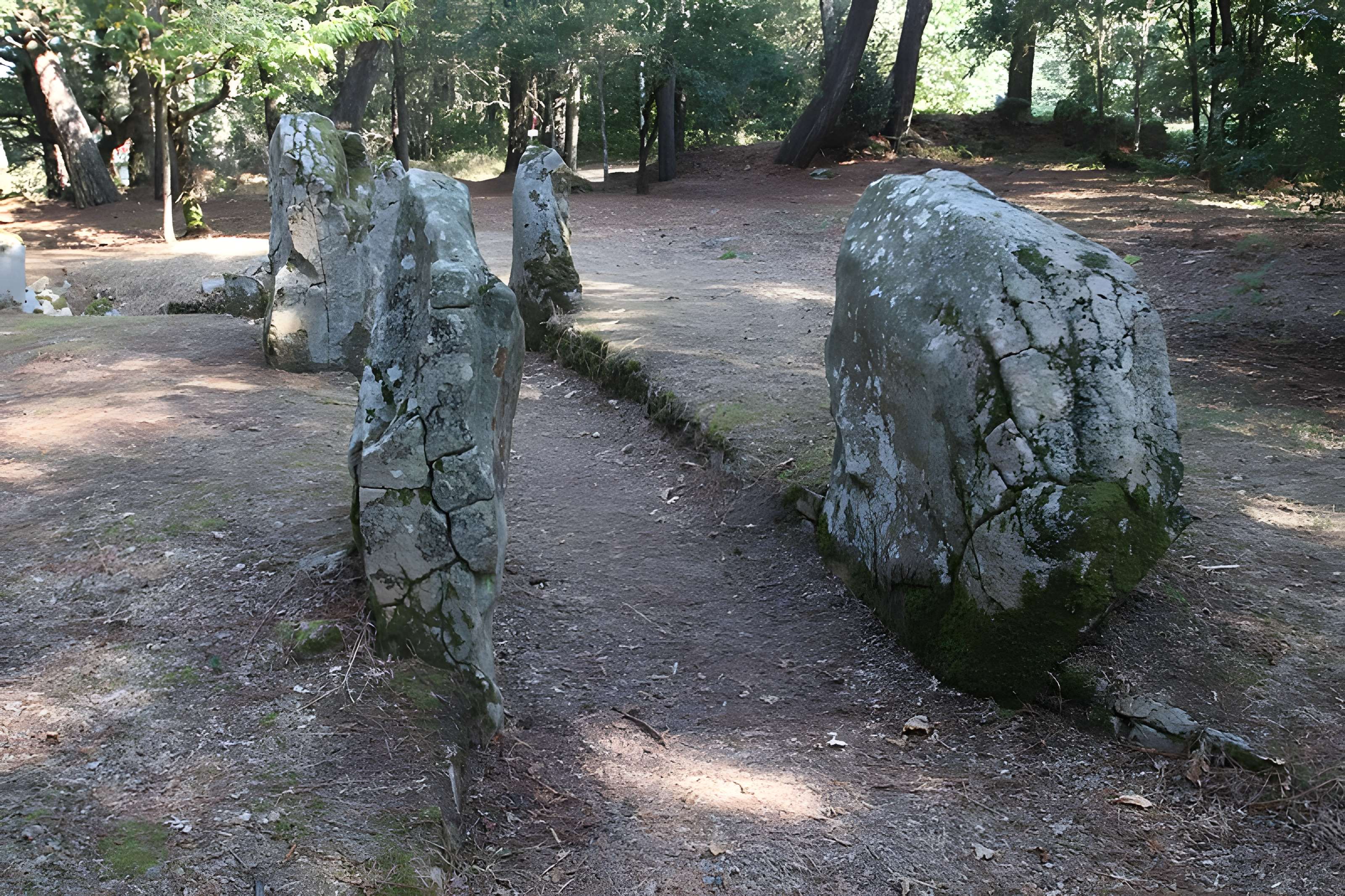 Allée couverte de Luffang Tal er Roch à Crac'h