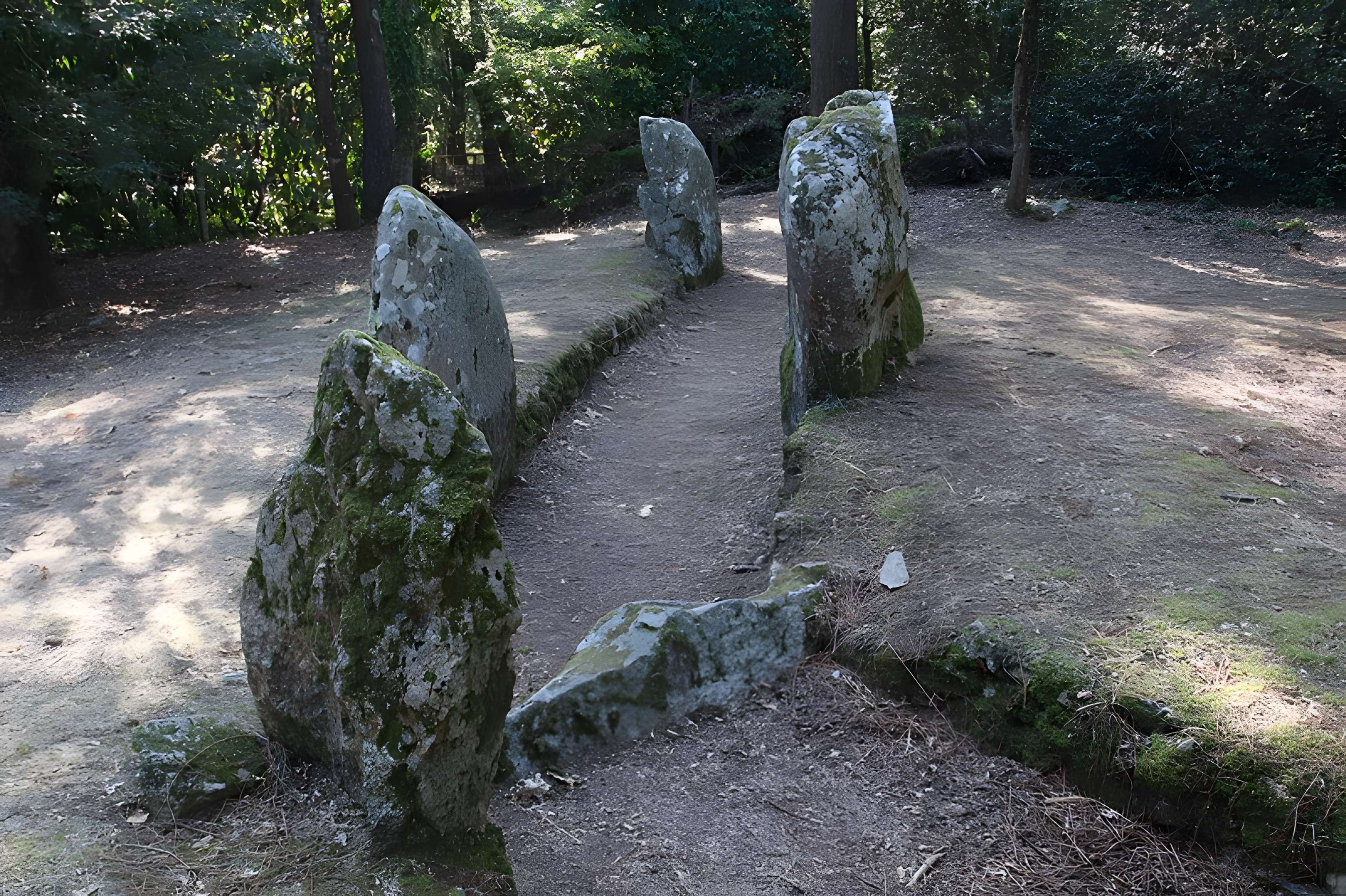Allée couverte de Luffang Tal er Roch à Crac'h
