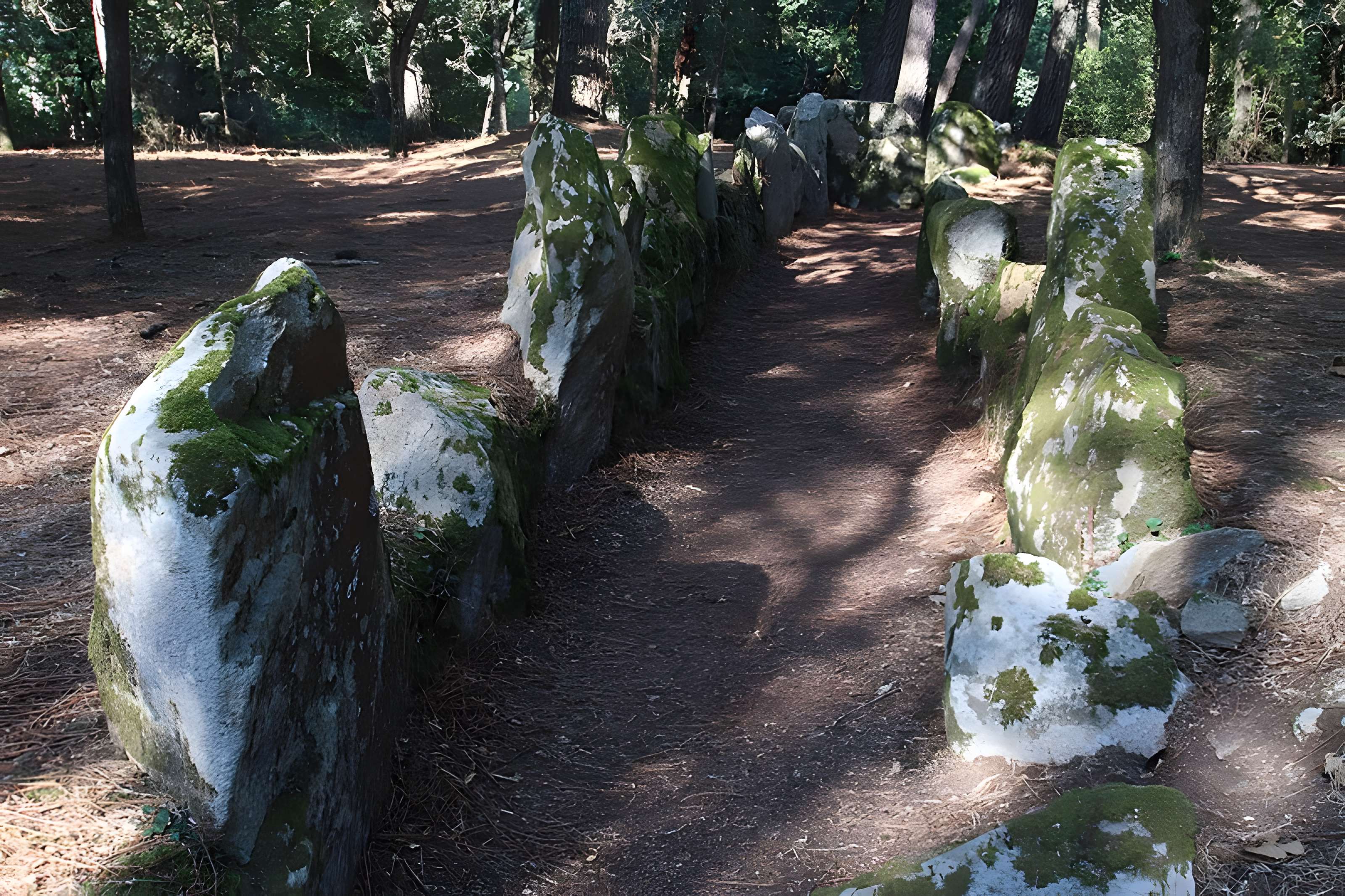 Allée couverte de Luffang Tal er Roch à Crac'h
