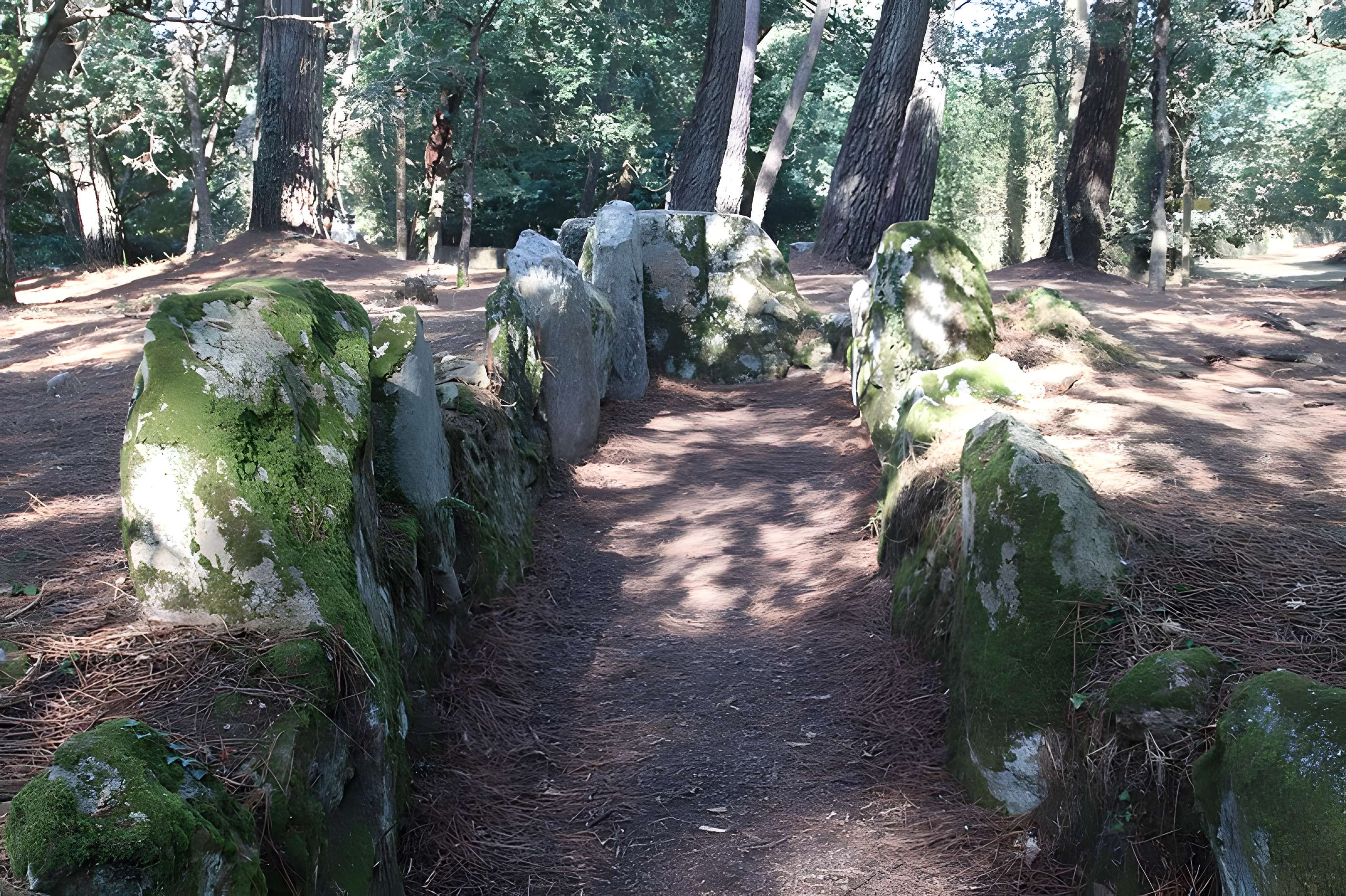 Allée couverte de Luffang Tal er Roch à Crac'h