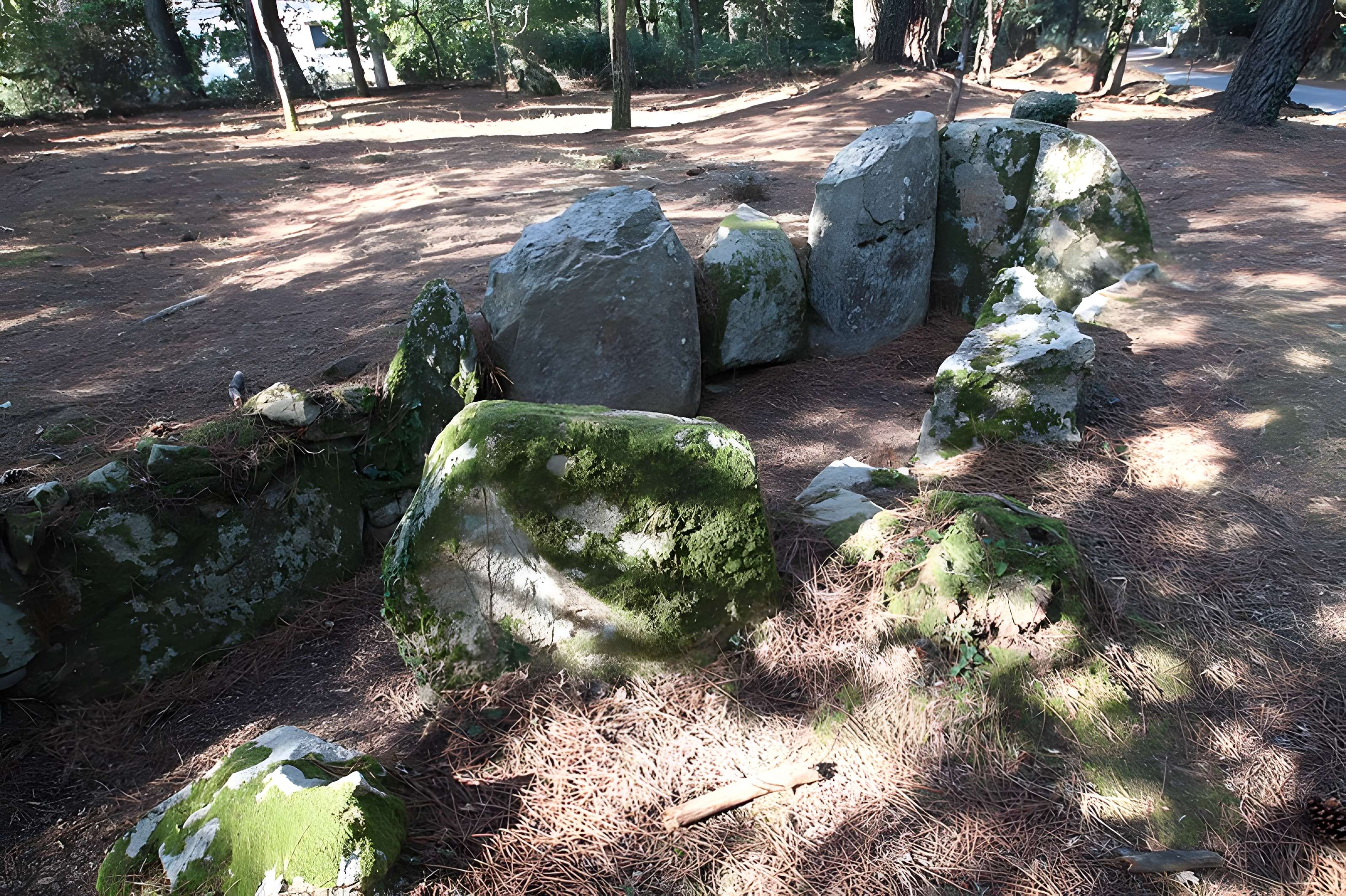 Allée couverte de Luffang Tal er Roch à Crac'h