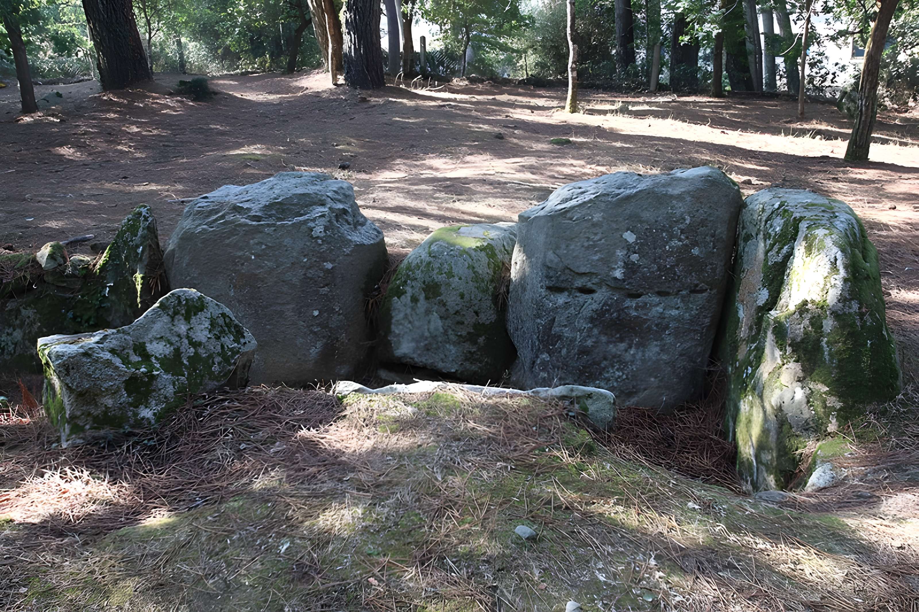 Allée couverte de Luffang Tal er Roch à Crac'h