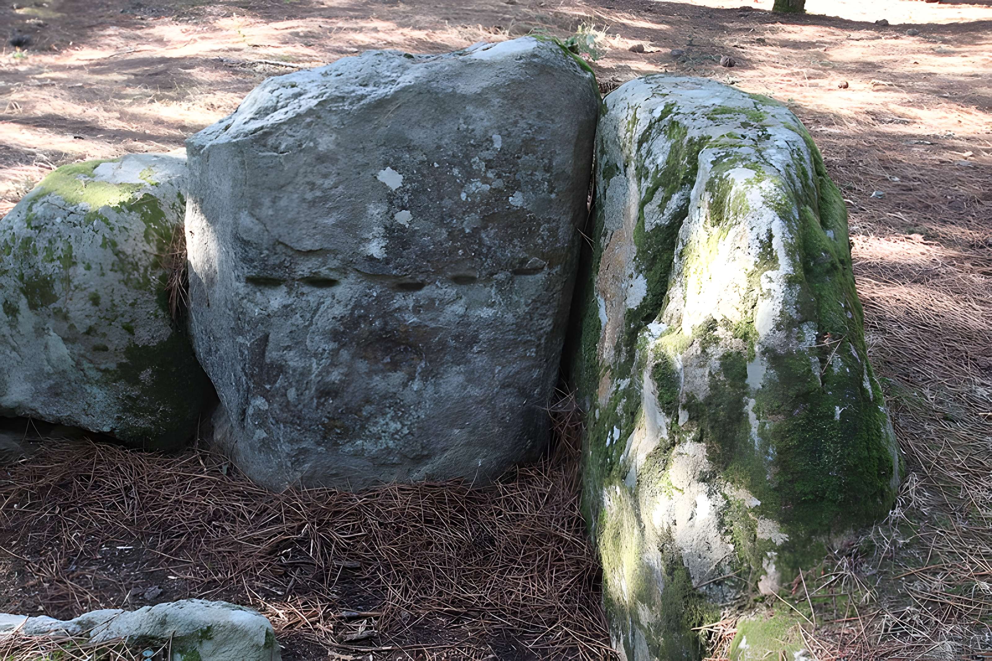 Allée couverte de Luffang Tal er Roch à Crac'h