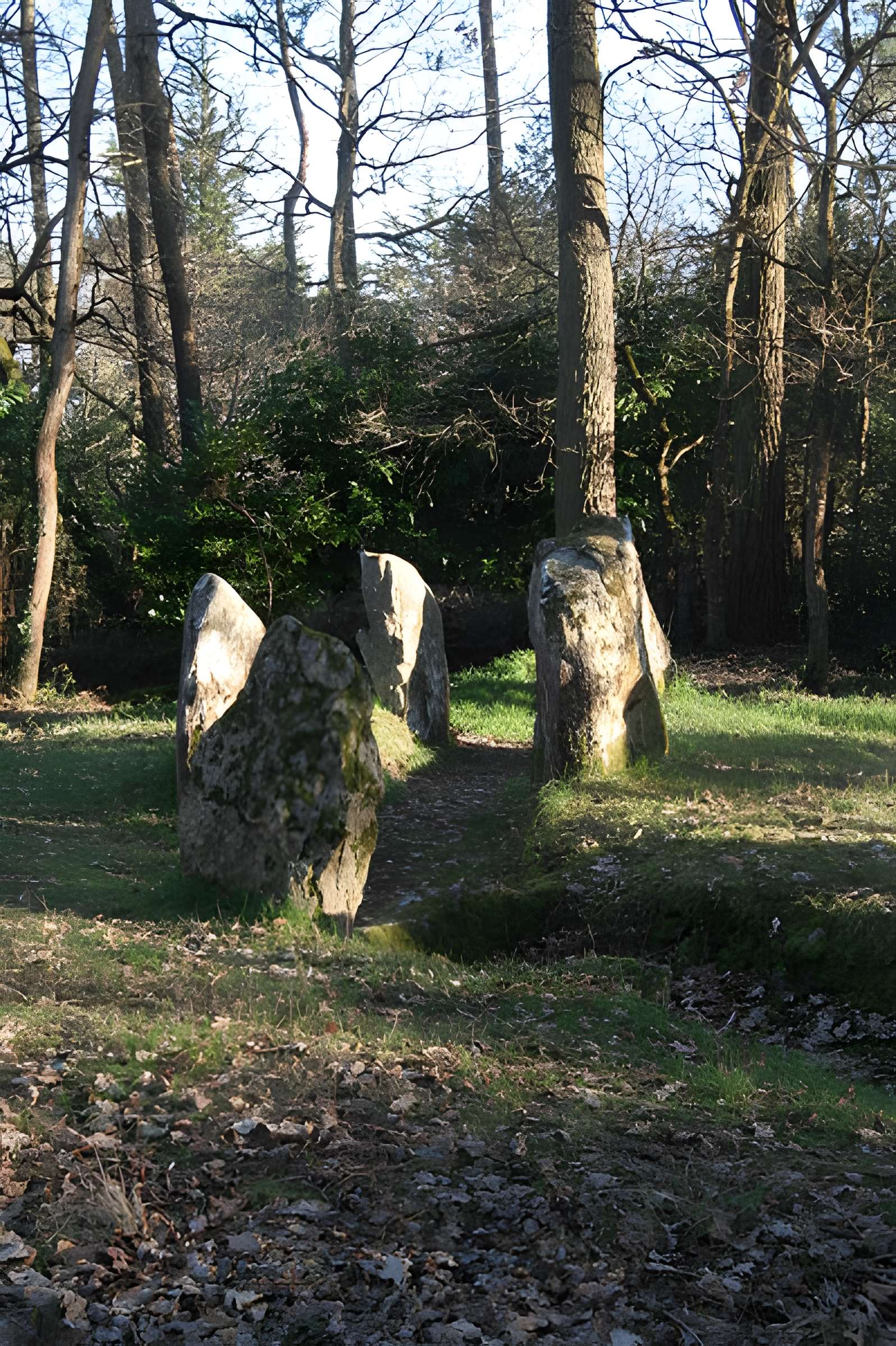 Allée couverte de Luffang Tal er Roch à Crac'h