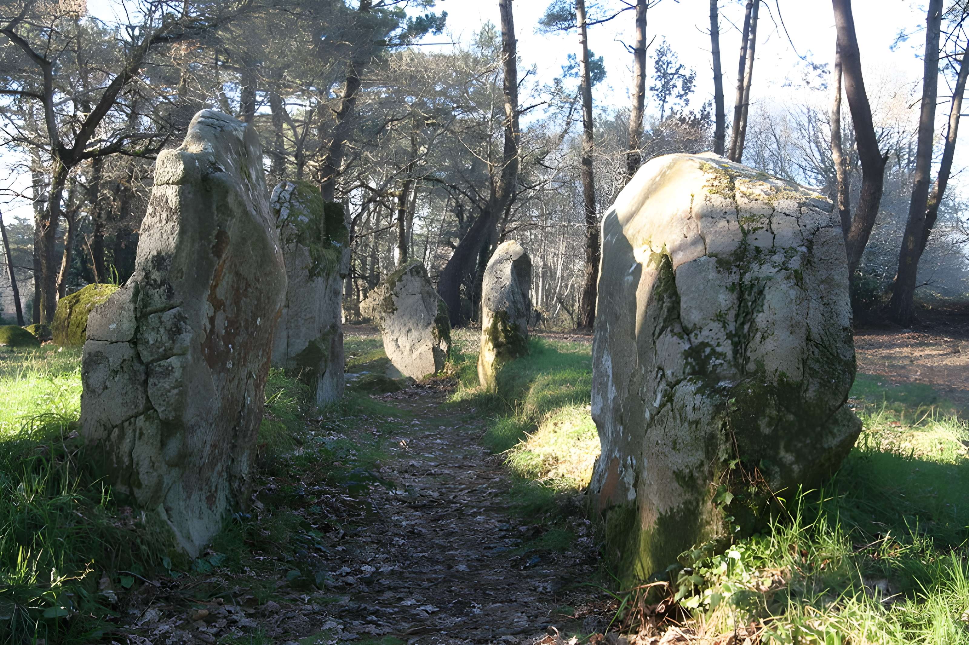 Allée couverte de Luffang Tal er Roch à Crac'h