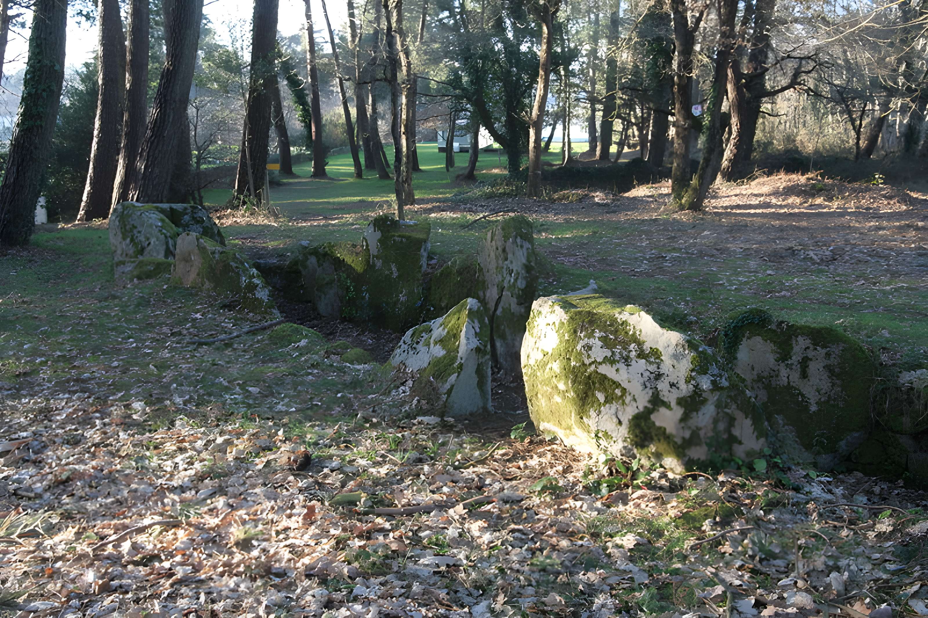 Allée couverte de Luffang Tal er Roch à Crac'h