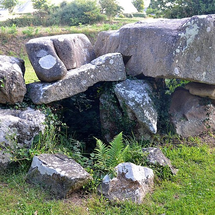 Photo de Allée couverte de Mélus à Ploubazlanec