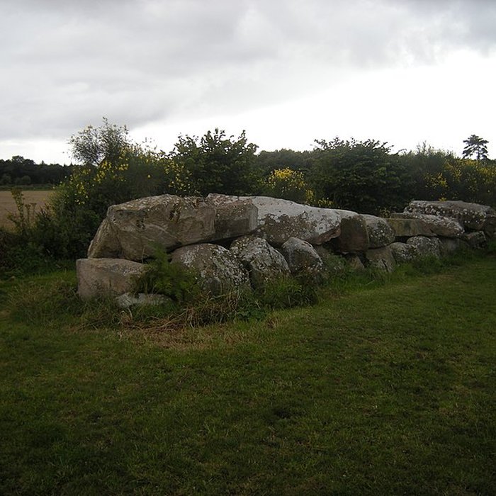 Photo de Allée couverte de Mélus à Ploubazlanec