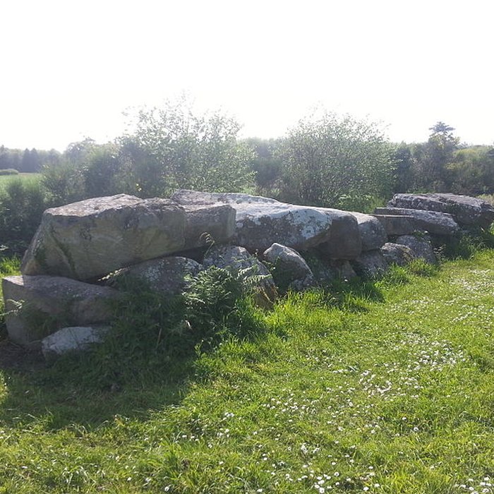 Photo de Allée couverte de Mélus à Ploubazlanec