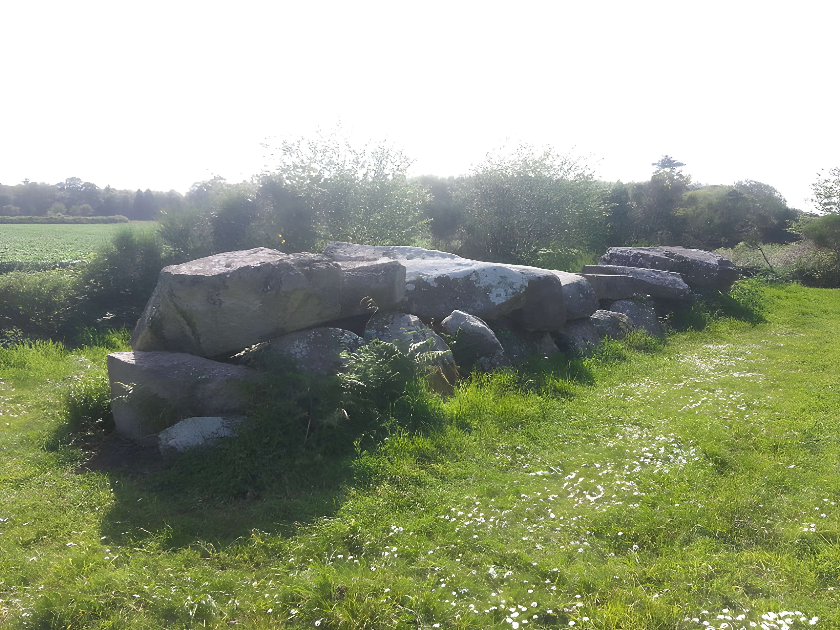 Allée couverte de Mélus à Ploubazlanec