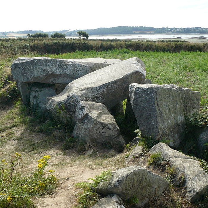 Photo de Allée couverte de Men-ar-Rumpet à Kerhos