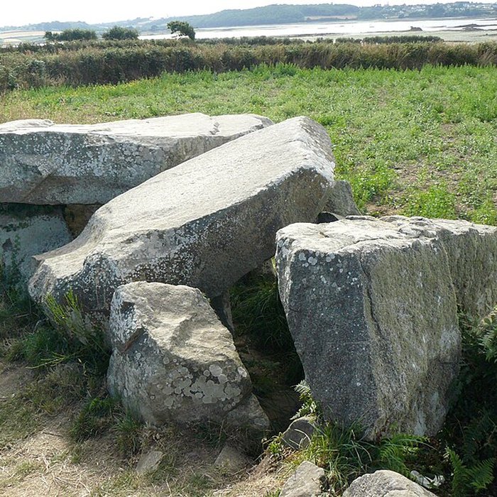 Photo de Allée couverte de Men-ar-Rumpet à Kerhos