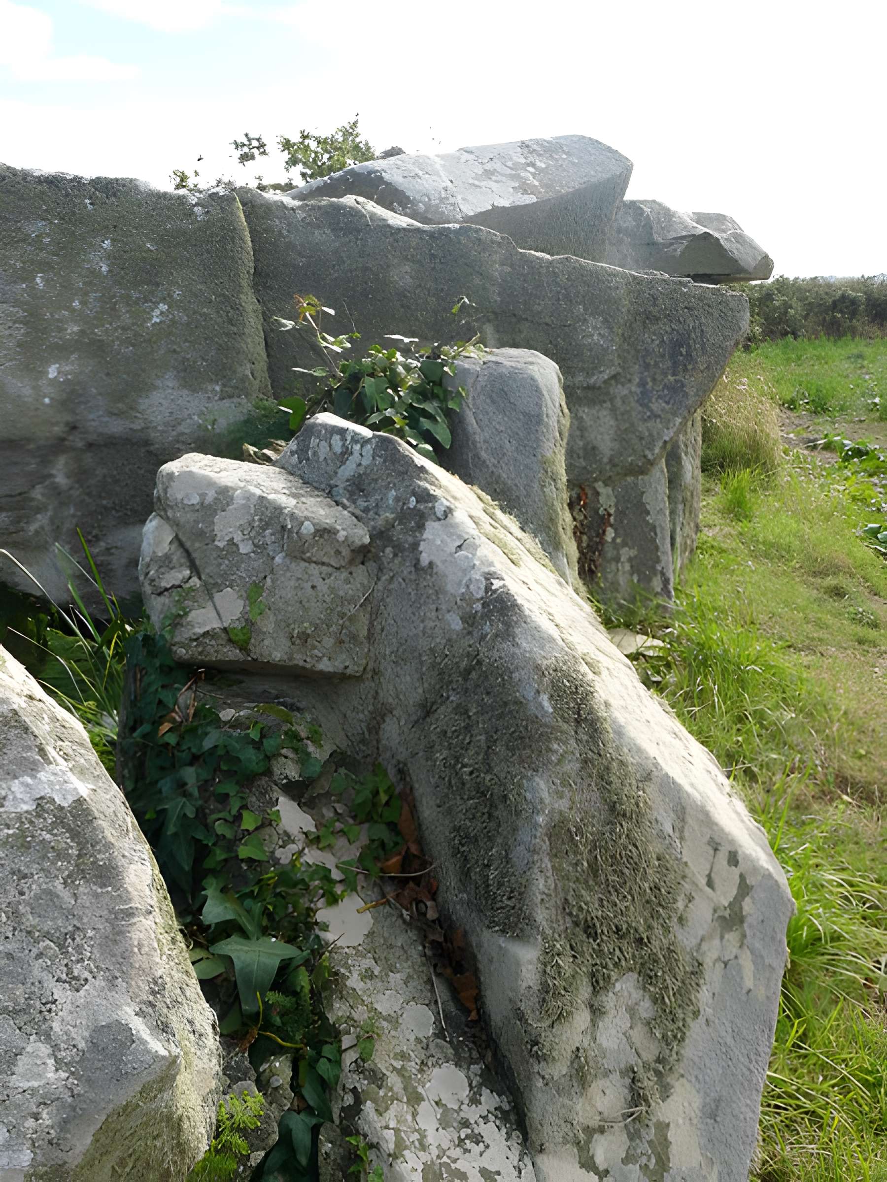Allée couverte de Men-ar-Rumpet à Kerhos