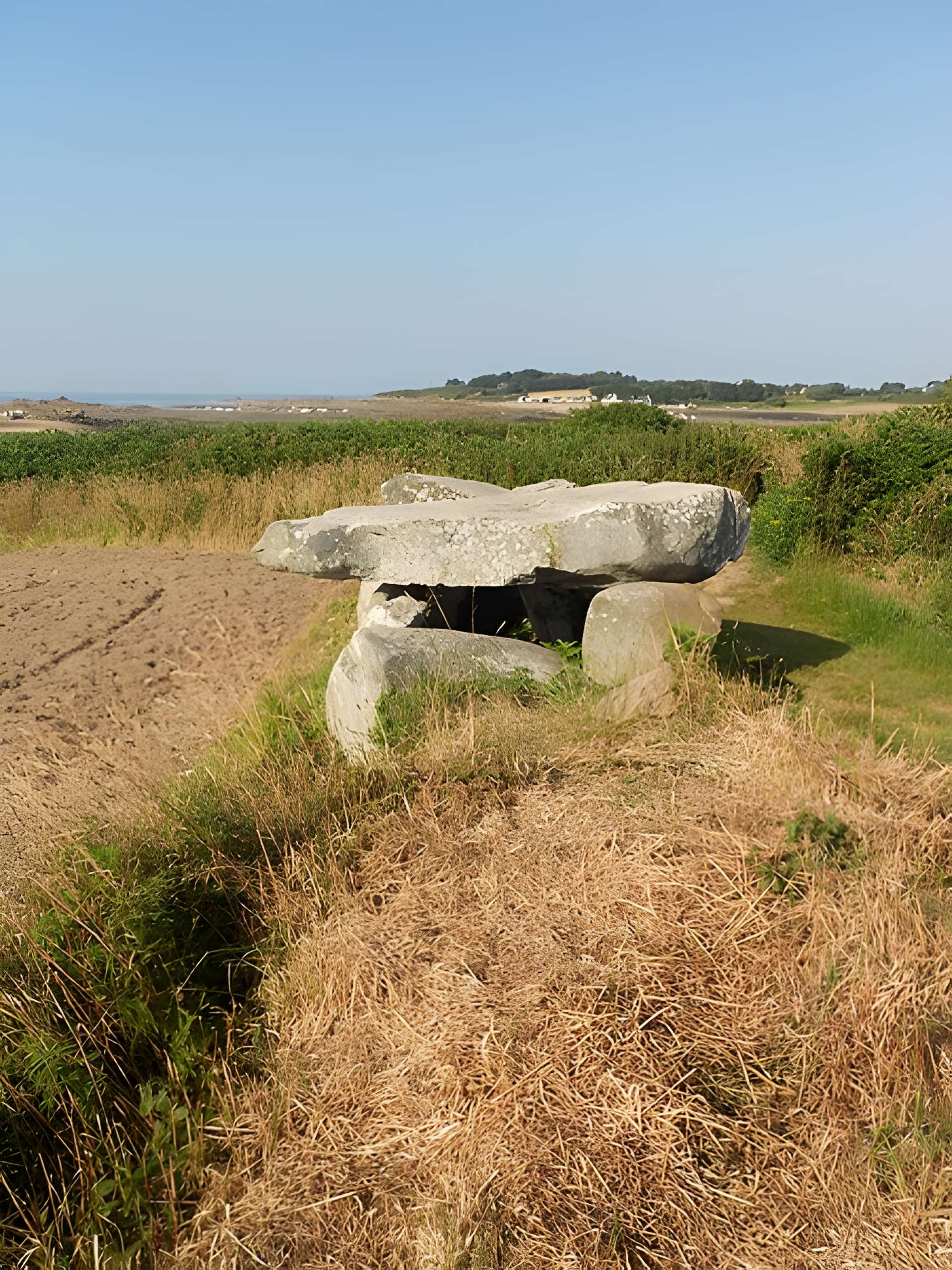 Allée couverte de Men-ar-Rumpet à Kerhos