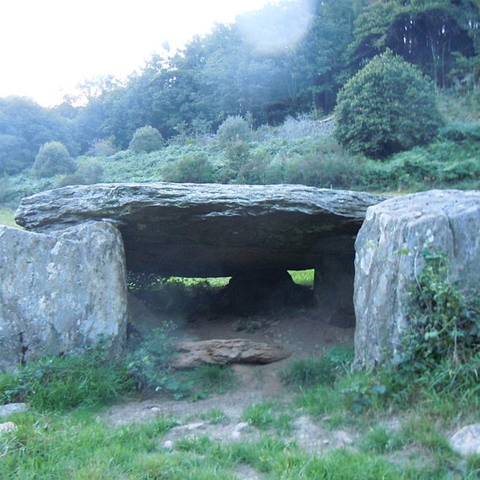 Photo de Allée couverte de Minguionnet à Gourin