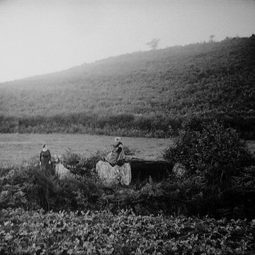 Allée couverte de Minguionnet à Gourin