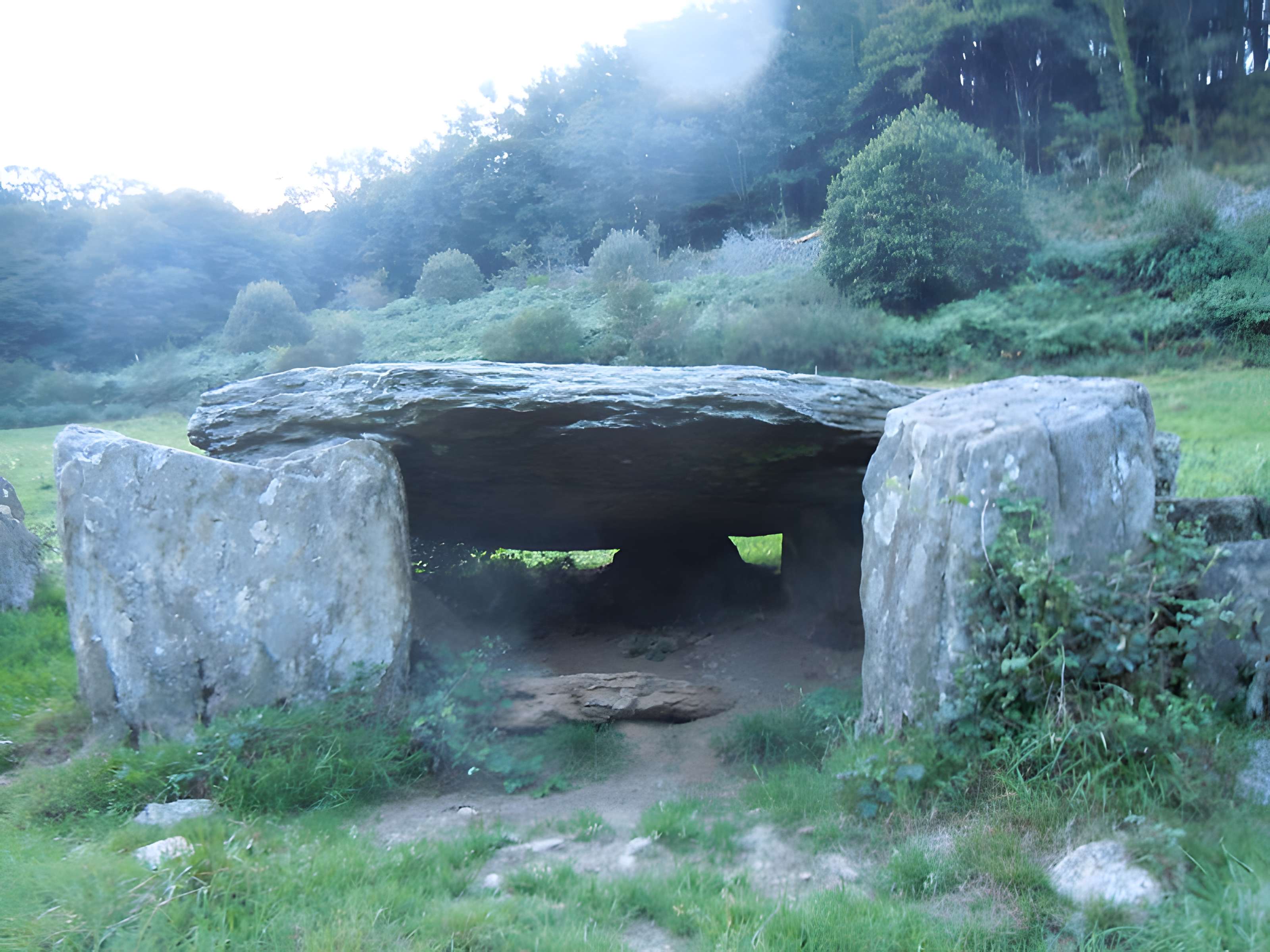 Allée couverte de Minguionnet à Gourin