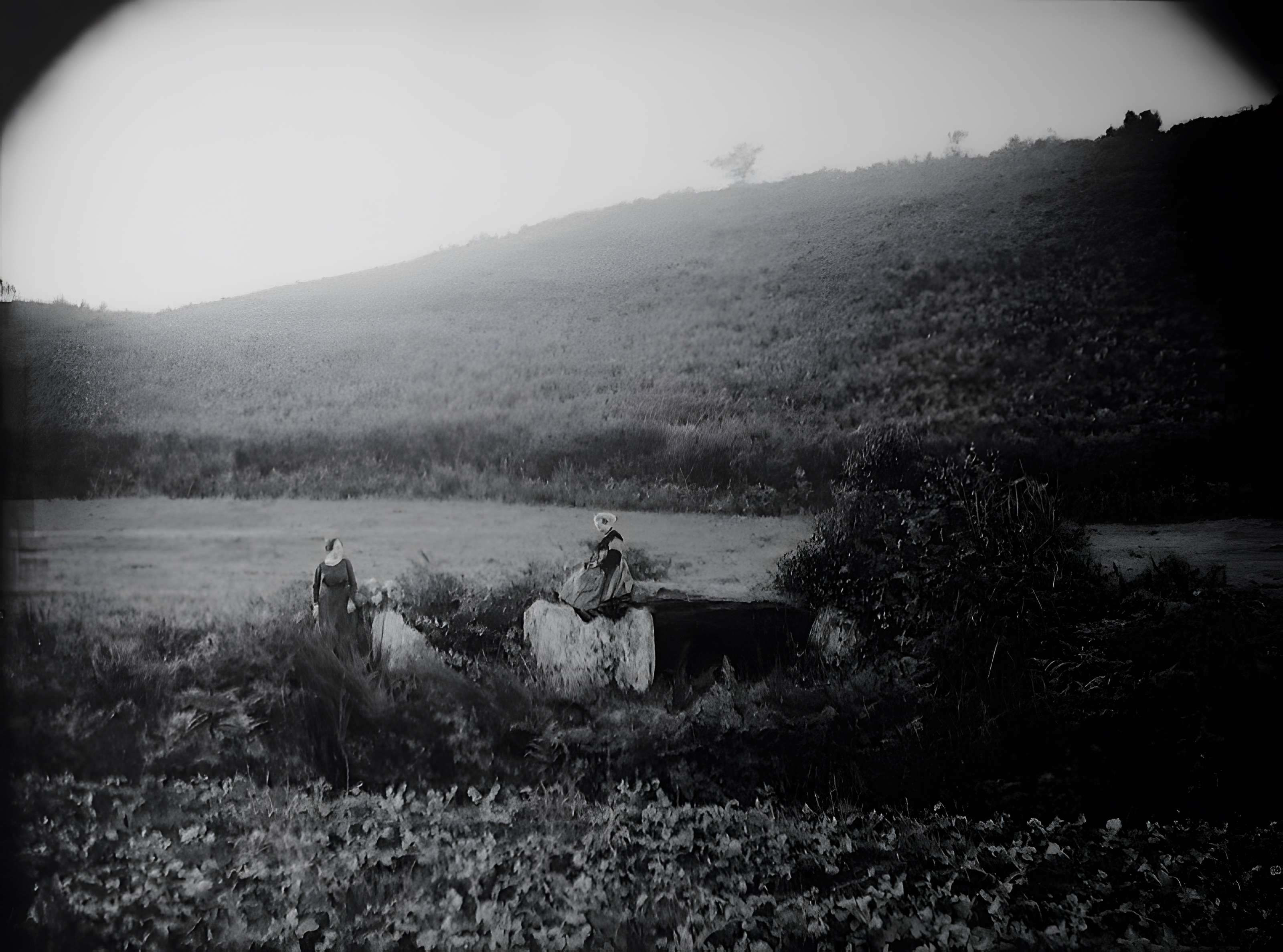 Allée couverte de Minguionnet à Gourin