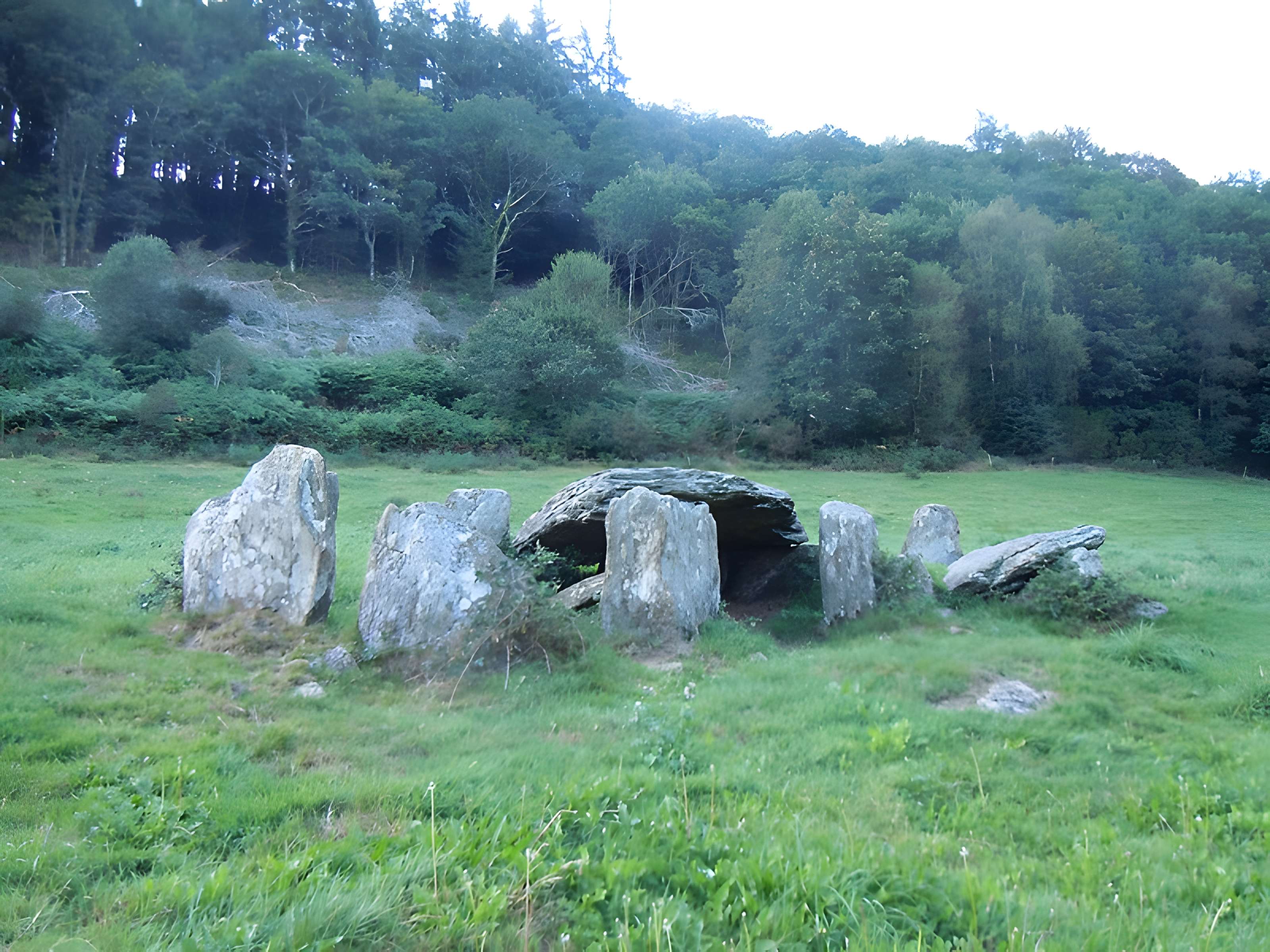 Allée couverte de Minguionnet à Gourin