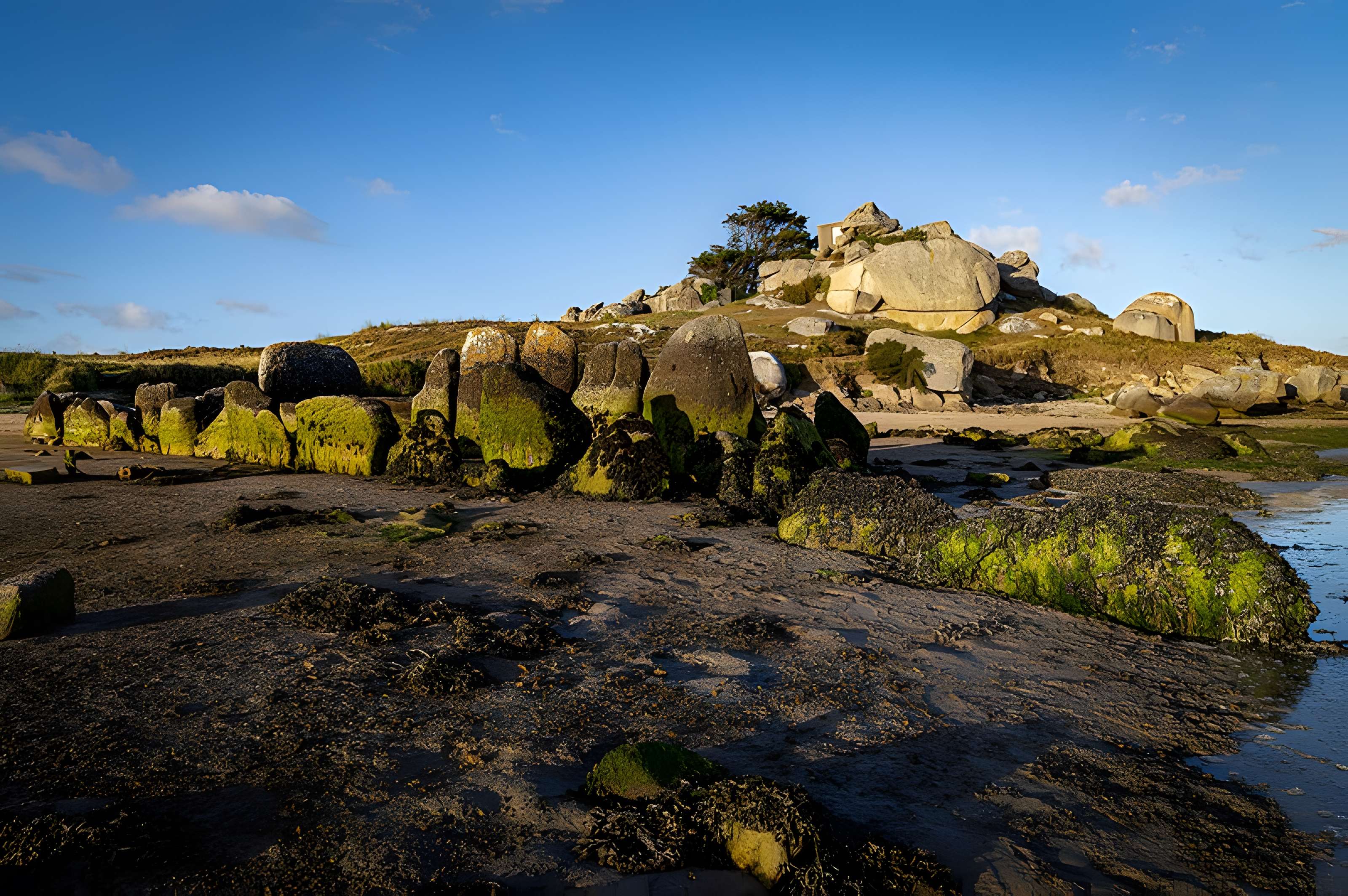 Allée couverte de Plouescat