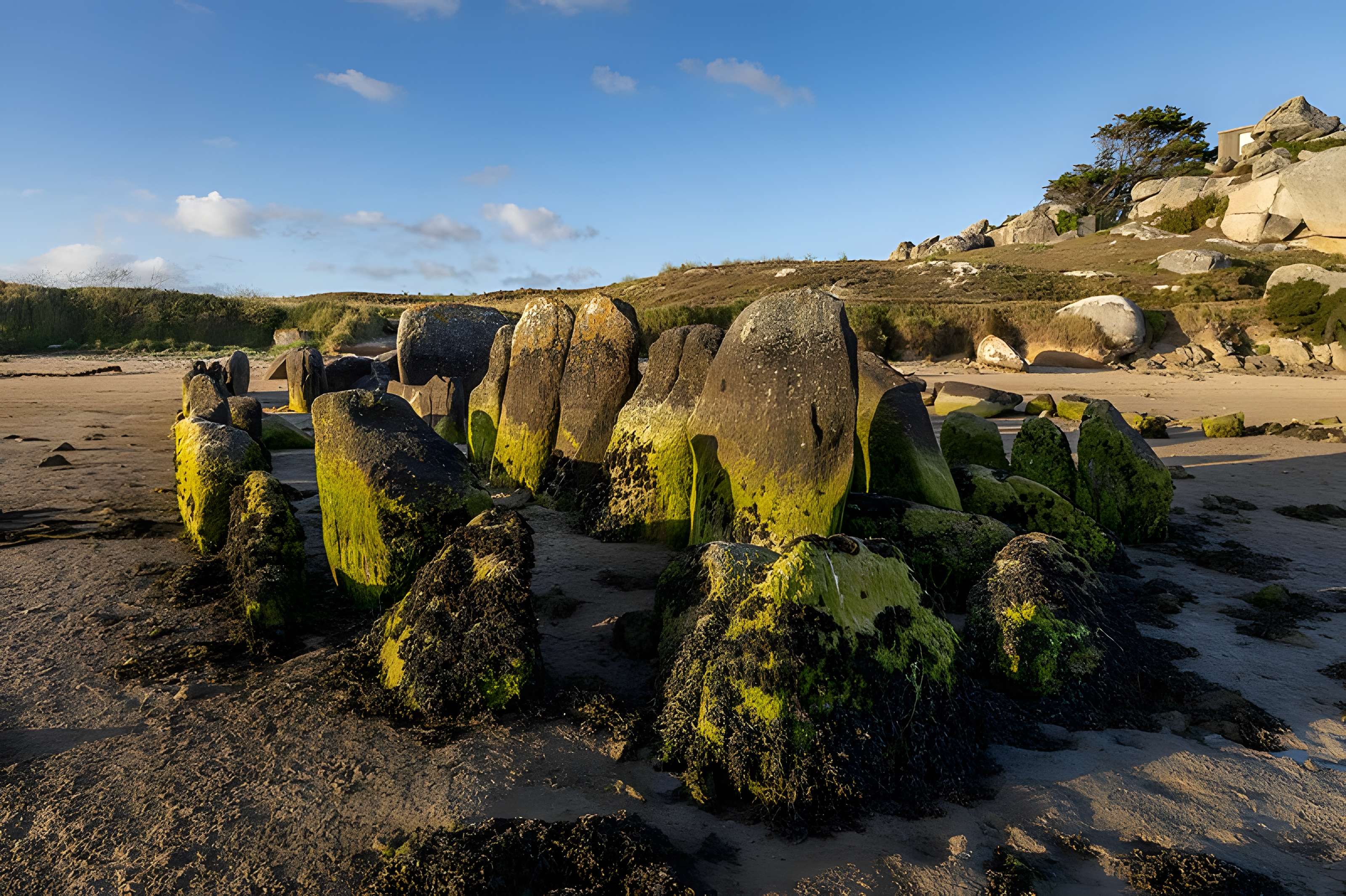 Allée couverte de Plouescat