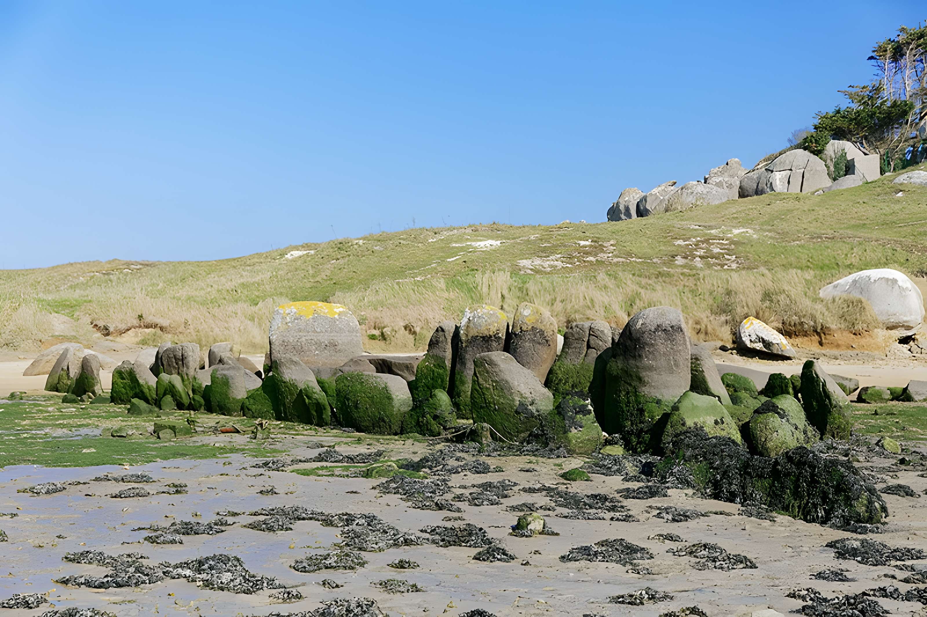Allée couverte de Plouescat