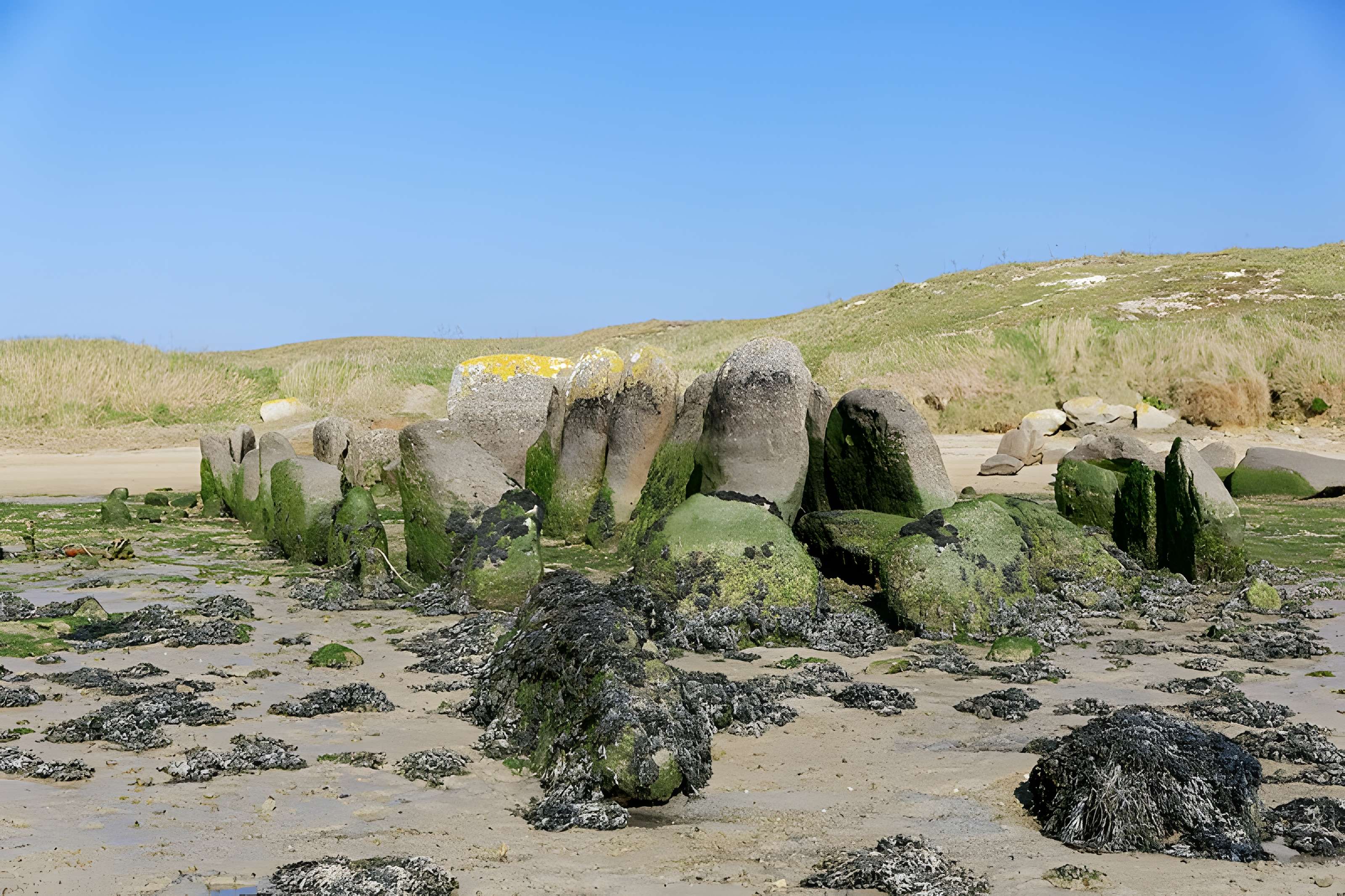 Allée couverte de Plouescat