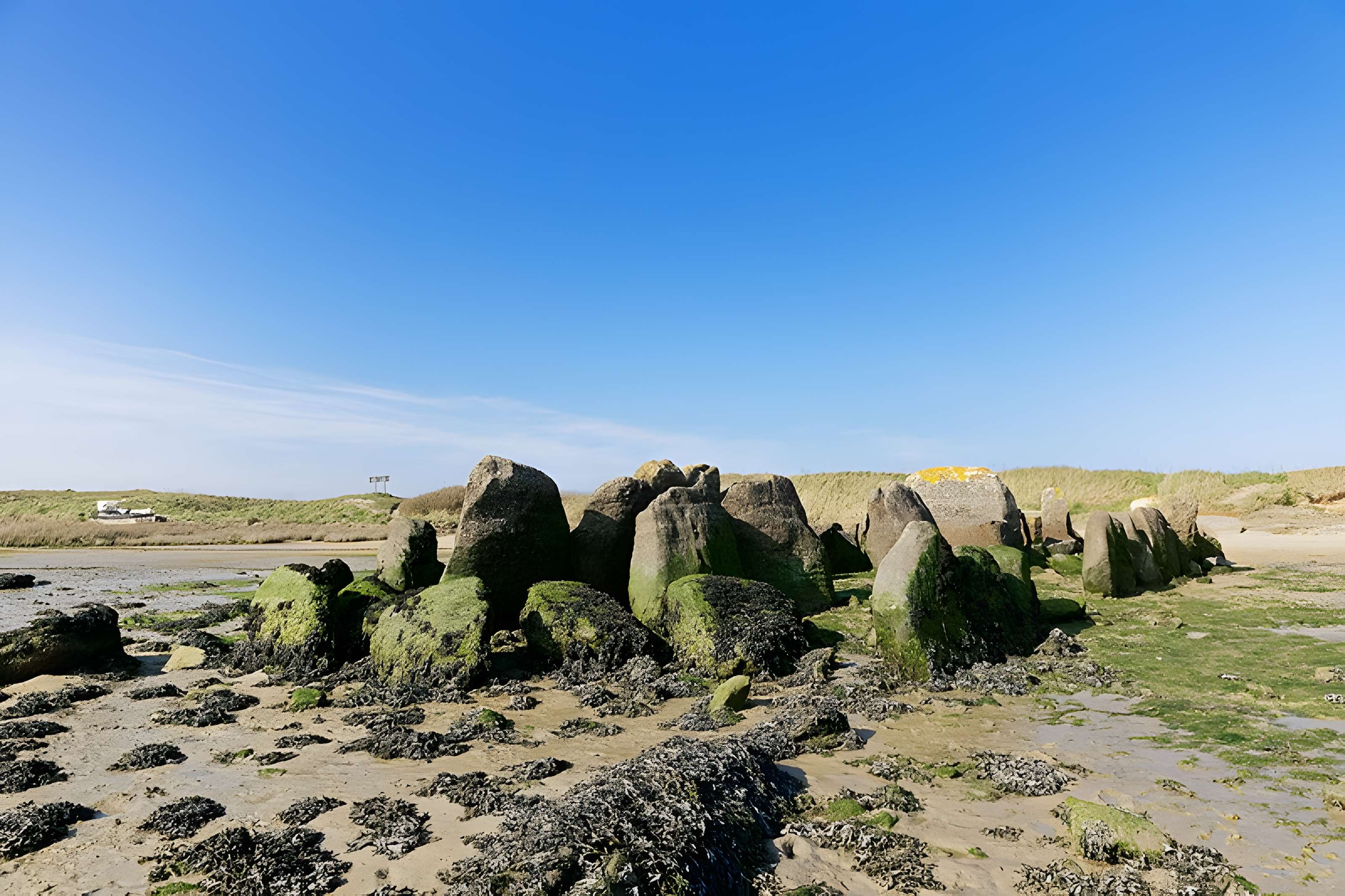 Allée couverte de Plouescat