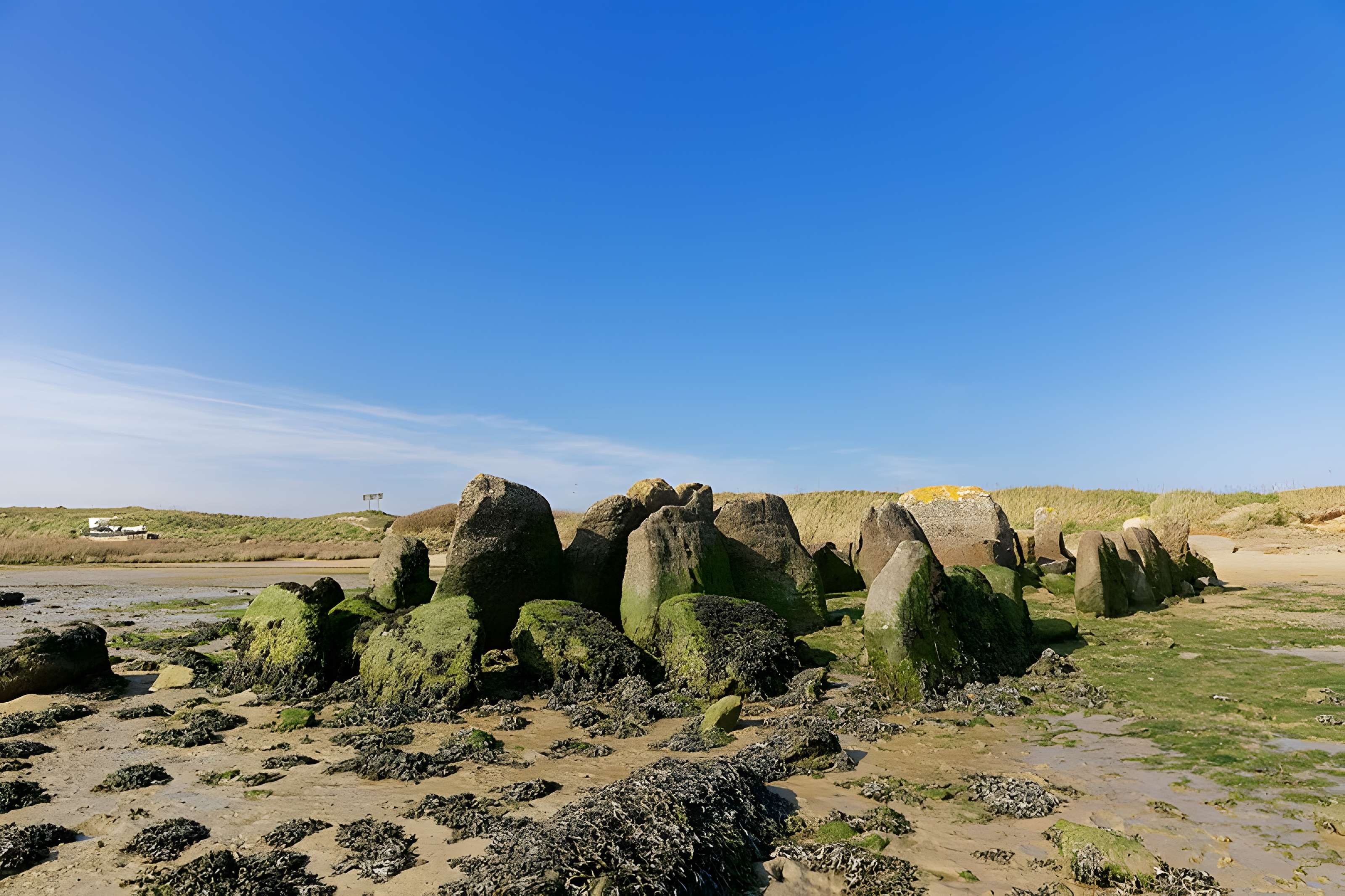 Allée couverte de Plouescat
