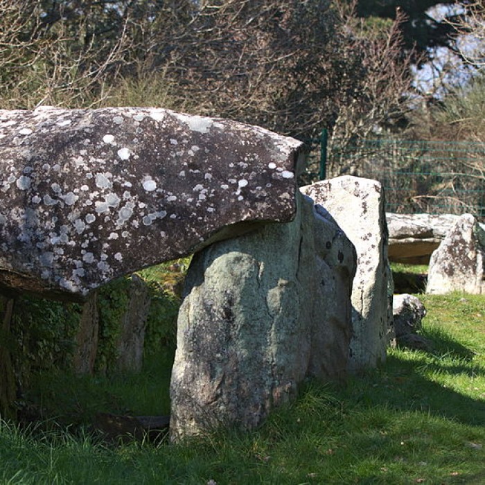 Photo de Allée couverte dEr-Roh à La Trinité-sur-Mer