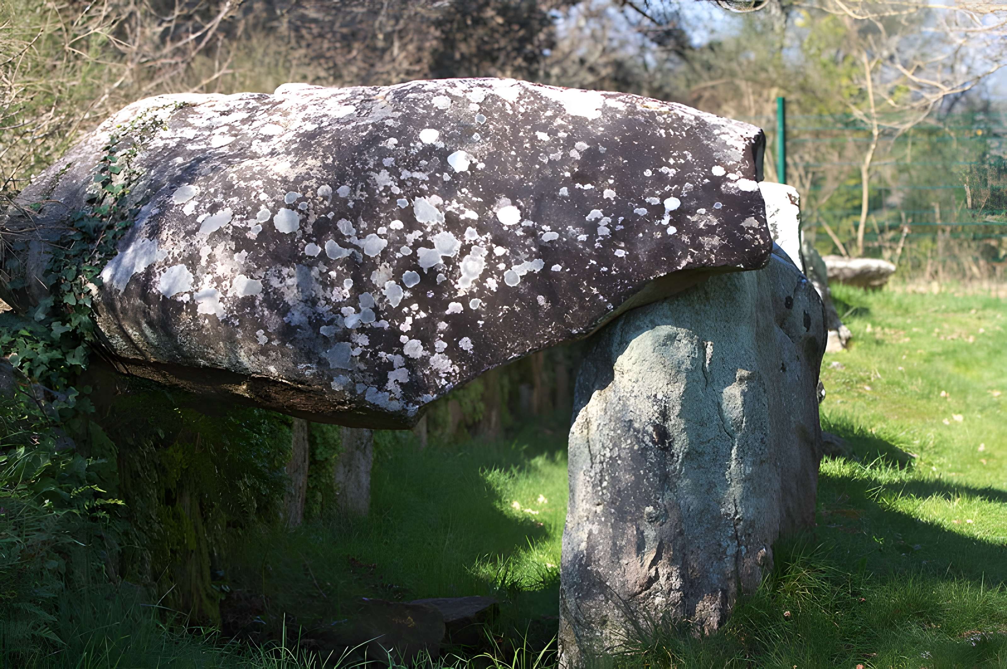 Allée couverte d'Er-Roh à La Trinité-sur-Mer
