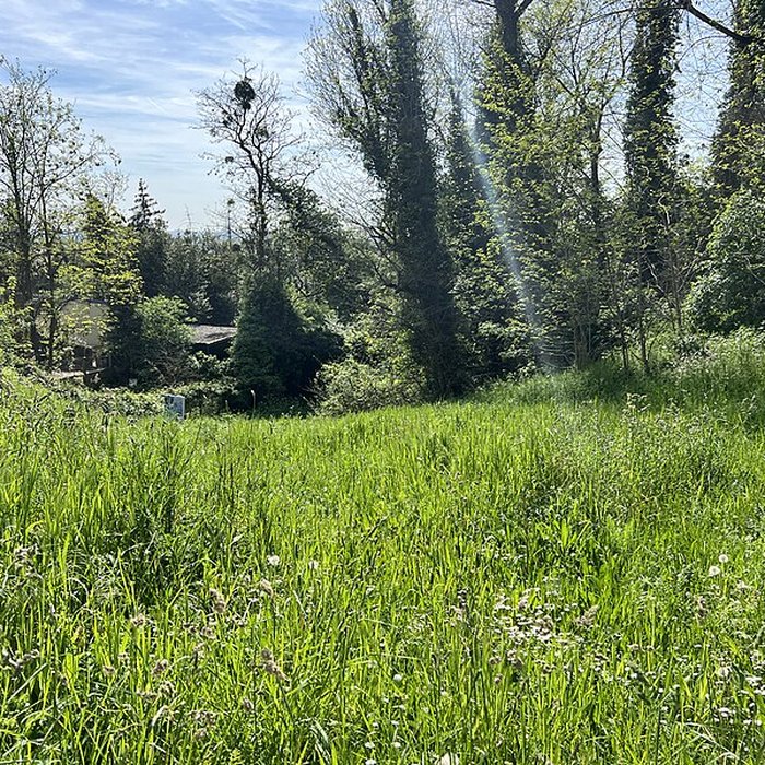 Photo de Allée couverte des Déserts à Argenteuil
