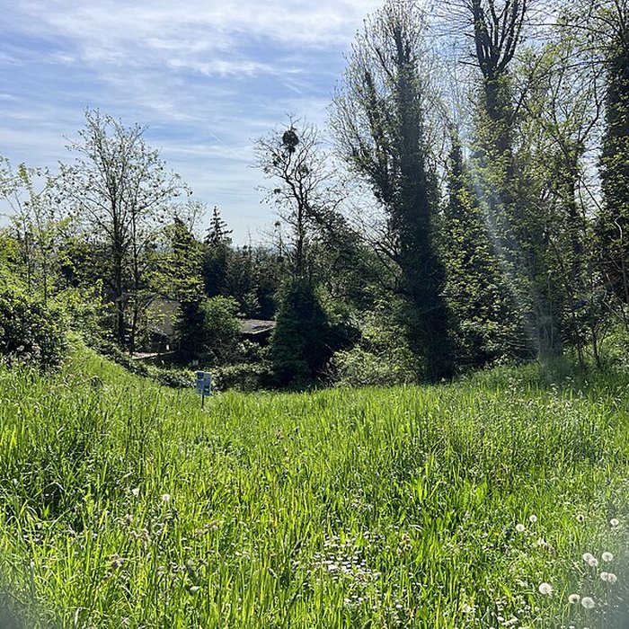 Photo de Allée couverte des Déserts à Argenteuil