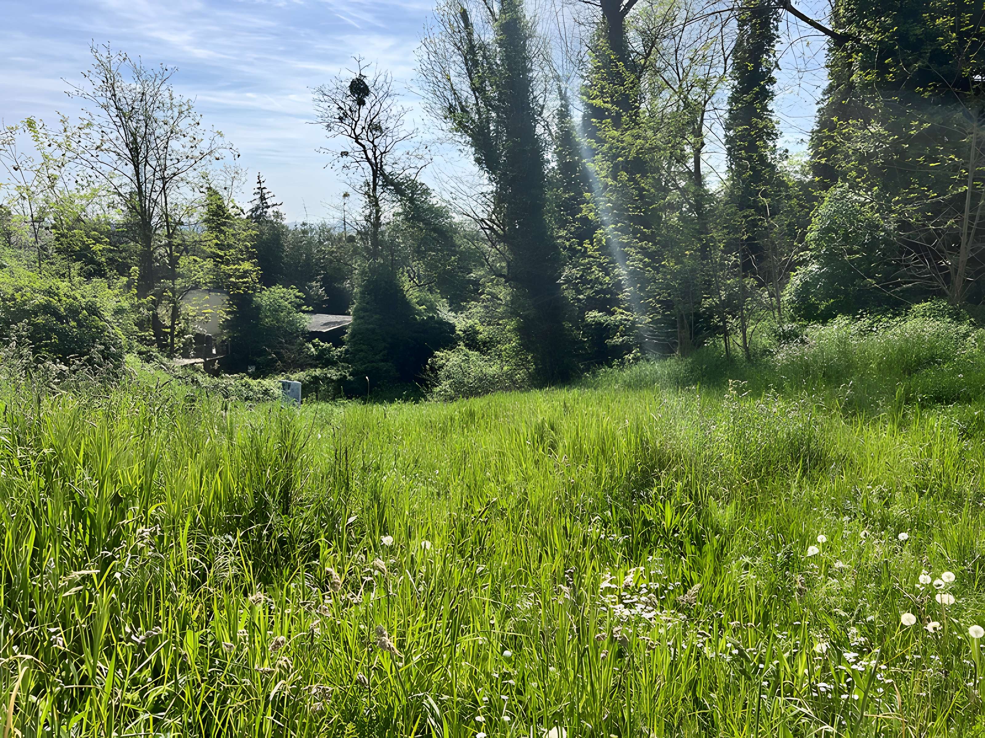 Allée couverte des Déserts à Argenteuil